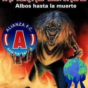 Meet your Posher, Orlando